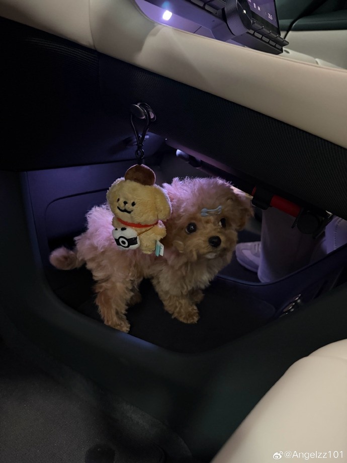 Angel赛后晒聚餐图：大家冬至快乐！德杯三连胜了来吃个泰料